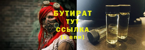 сатива Горняк