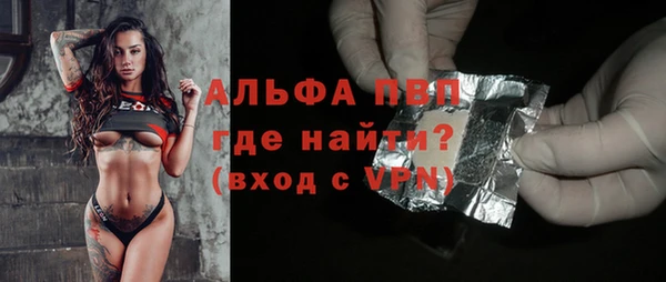 сатива Горняк