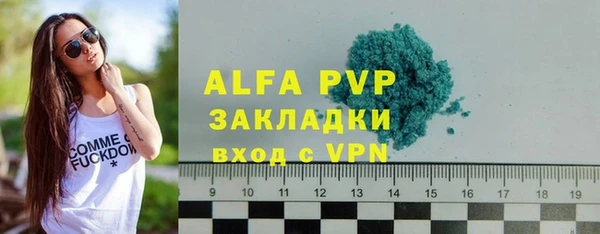 сатива Горняк