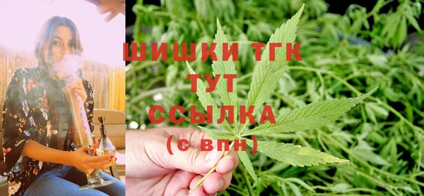 гашик Горно-Алтайск