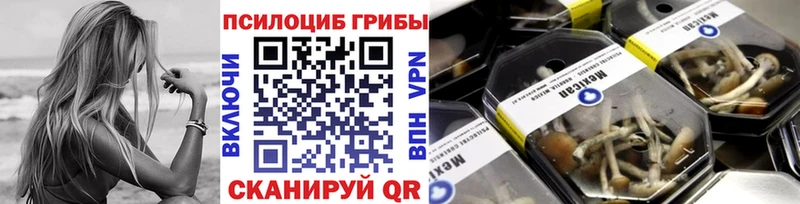 Псилоцибиновые грибы Magic Shrooms  Заволжье 