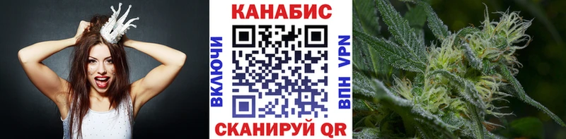 где купить   Заволжье  Конопля сатива 